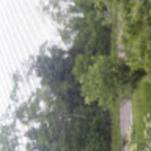 Meet your Posher, Paul